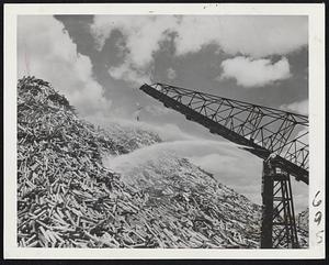 Right, thousands of logs are wetted down to lessen the fire hazard. The stockpile will be tapped for mil processing during the winter. Before the war Canada produced newsprint that made up two-thirds of the world's export trade of this commodity.