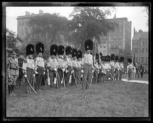 A group of soldiers wearing bearskin hats and holding swords