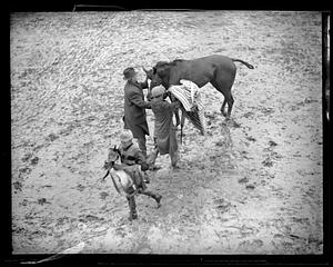 Men with a horse