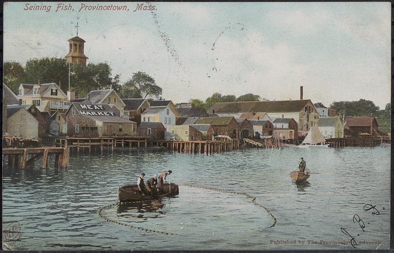Seining fish, Provincetown, Mass. - Digital Commonwealth