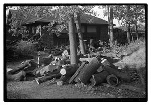 A pile of wood
