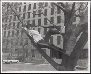 Girl reclining in tree