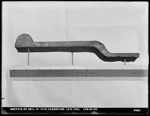 Distribution Department, section of bell, 10-inch pipe laid 1856, Cambridge, Mass., Jan. 26, 1904