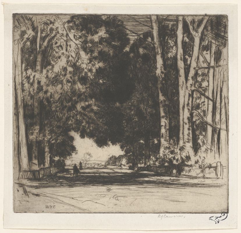The avenue