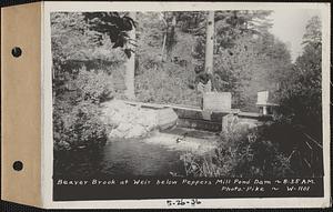 Beaver Brook at weir below Pepper's mill pond dam, Ware, Mass., 8:35 AM, May 26, 1936