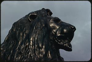Lion statue, Trafalgar Square, London