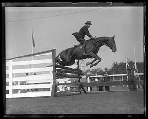 An unidentified man and horse, Brockton Fair