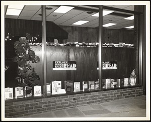 Newton Free Library. Newton, MA. Storefront book exhibit