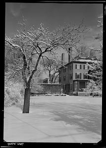 Salem, 29 Chestnut Street, backyard