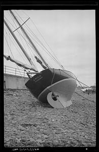 Marblehead, hurricane damaged boats
