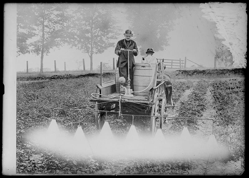 Spraying (and dusting) vegetables