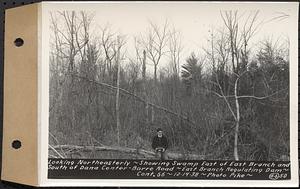 Contract No. 66, Regulating Dams, Middle Branch (New Salem), and East Branch of the Swift River, Hardwick and Petersham (formerly Dana), looking northeasterly, showing swamp east of east branch and south of Dana Center-Barre Road, east branch regulating dam, Hardwick, Mass., Dec. 14, 1938