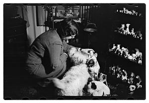 Miss Liddie A Livevey, collector of miniature dogs, 400, 1 live one