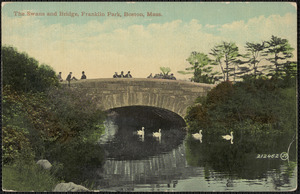 The swans and bridge, Franklin Park, Boston, Mass.