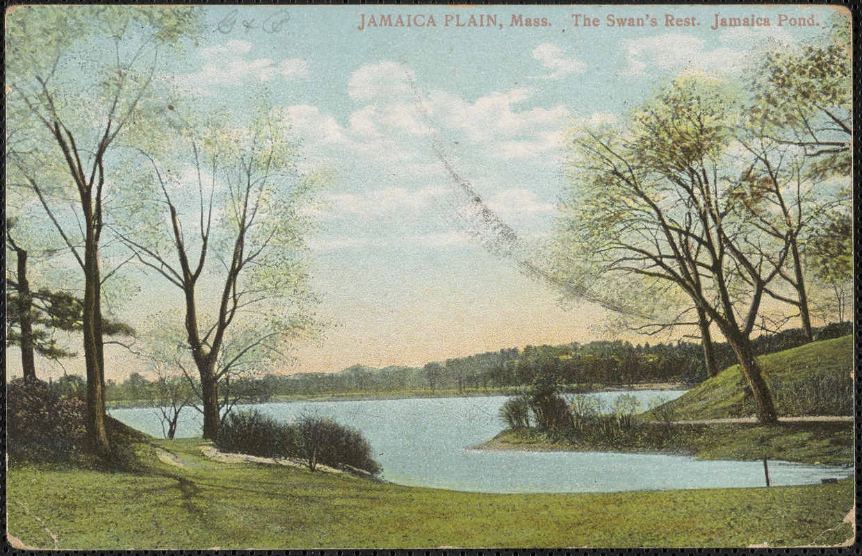 Jamaica Plain, Mass., the swan's rest, Jamaica Pond