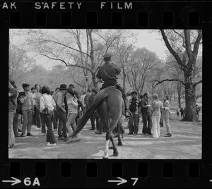 Confrontation between mounted policeman and hippies on the Boston Common