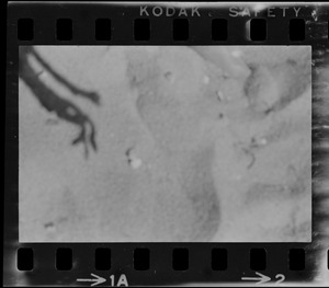 Sand on a beach