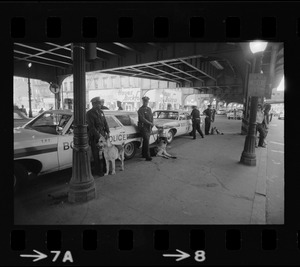 Police surveillance at a transportation station after disturbance during Puerto Rican Day celebration in Blackstone Park