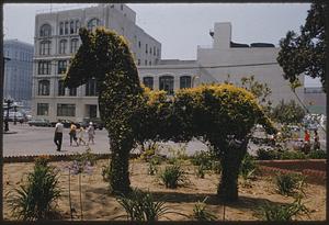 Topiary horse, El Pueblo de Los Angeles