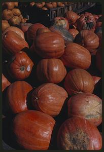 Close view of pile of pumpkins