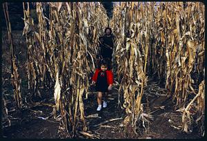 Woman and children walking through cornfield
