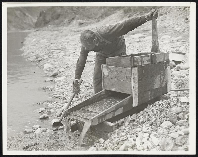 "Rocking" for Gold. If a likely 'prospect' is discovered, a primitive 'Rocker' is set up which enables the worker to work more pay dirt than would be possible by panning alone. The dirt and gravel is shoveled into the rocker, then shaken through a screen, and then washed down a riffle board where the heavier gold sifts to the bottom, and the lighter residue washed on down. Water is dipped from the stream to pour in box.