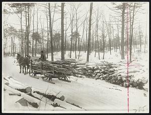 Sunday. Yesteryear's Country Fuel was sledded from farm woodlot to wood shed for proper length reduction by bucksaw and biceps. This Maine farmer of a generation ago would find a horseless farm today, few bucksaws, but some farmers still heating the home with wood have replaced the biceps.