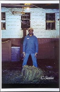 Barn manager Charles Jackson in front of barn giving horses hay