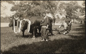 Husbandman with plough and oxen: sower & reaper