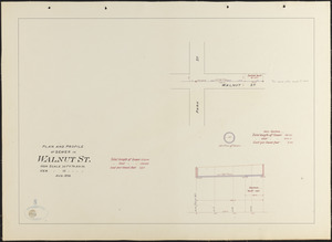 Plan and profile of sewer in Walnut St.