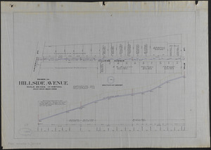 Sewer in Hillside Avenue