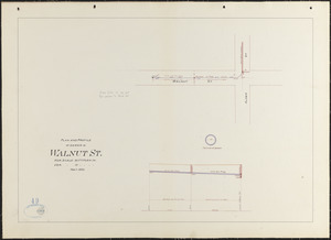 Plan and profile of sewer in Walnut St.