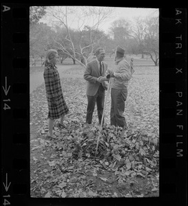 A youthful, Mayor-elect Kevin White, 38, accepts congratulations of city worker raking leaves as he and his wife cross Public Gardens for a luncheon engagement at Ritz Carlton