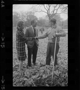 A youthful, Mayor-elect Kevin White, 38, accepts congratulations of city worker raking leaves as he and his wife cross Public Gardens for a luncheon engagement at Ritz Carlton