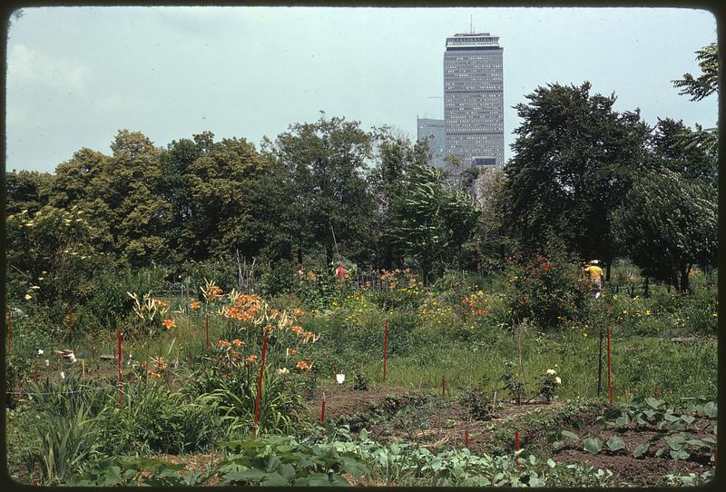 Boston Fens, Muddy River and Fenway Garden Club