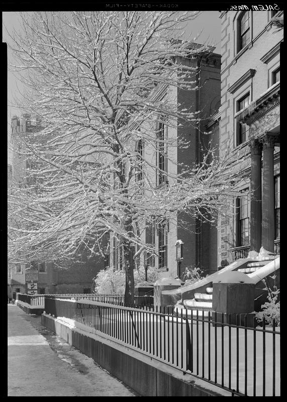 Salem, Essex Institute, snow