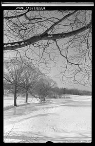 Marblehead, tree, snow