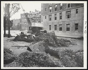 Bay State Road Scene - On Bay State Road trees were brought down during the night and one landed on this car with visible damage.