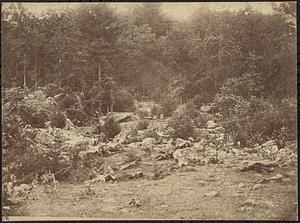 Slaughter pen found at foot of Little Round Top. Dead bodies of the slain among the rocks