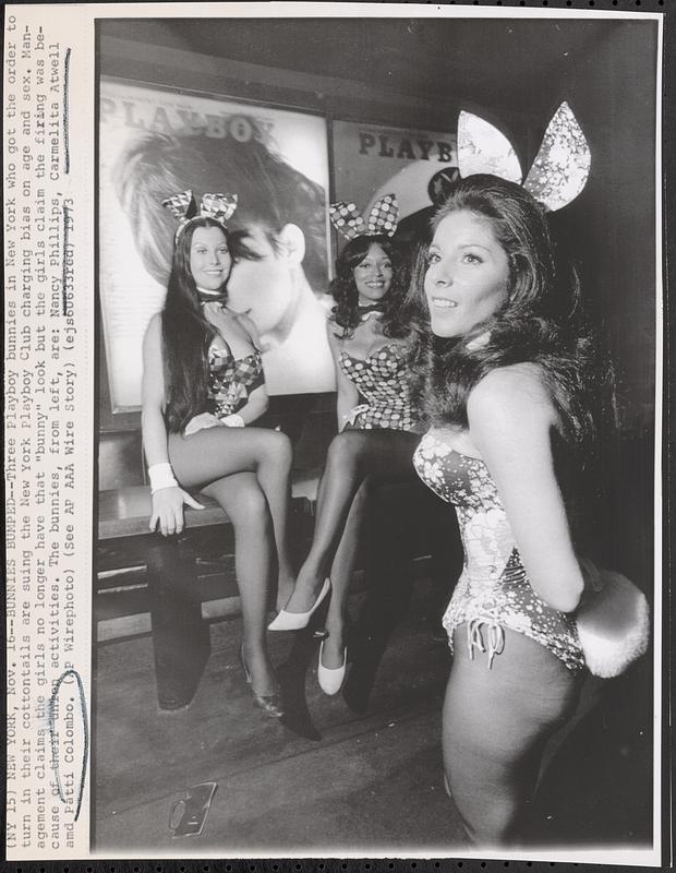 Bunnies bumped