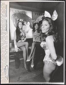 Bunnies bumped