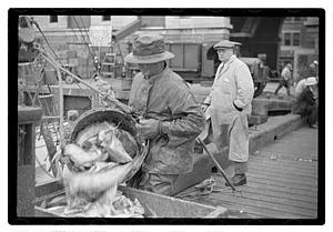Boston Fish Pier