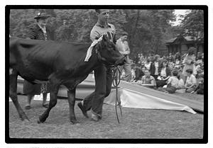 Boston Park Department W.P.A. Recreation Event