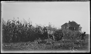 House, cornfield. 7 Gates