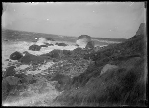 Shore with boulders