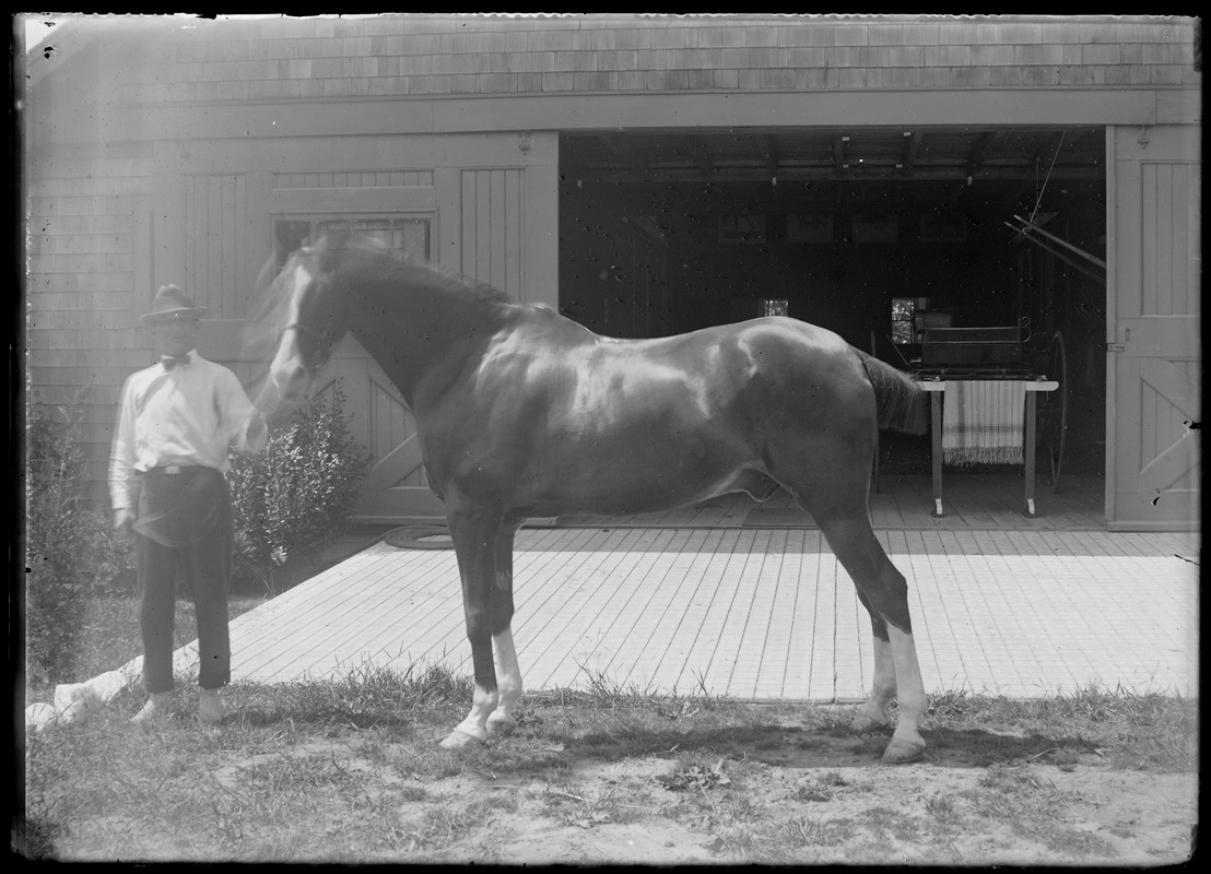 Horse and handler. Possibly Mrs. Skeel's barn, 7 Gates