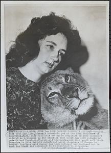 Lion causing community jitters