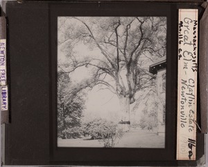 Newton photographs collection, lantern slides - Great Elm, Claflin Estate, Newtonville, Mass -