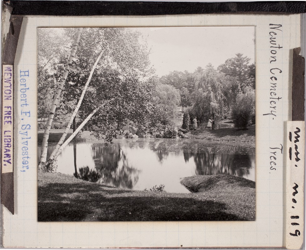 Newton photographs collection, lantern slides - Newton Cemetery. Trees -