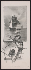 Newton photographs collection : advertising trade cards - Advertising trade cards - Newton trade cards - Priest, Page & Co., Boston -